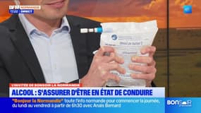 Réveillon du Nouvel An: les bons usages de l'éthylotest