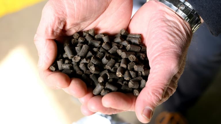 Des granulés d'un engrais produit par l'entreprise OvinAlp, près de Sisteron, le 30 janvier 2023 dans le sud de la France
