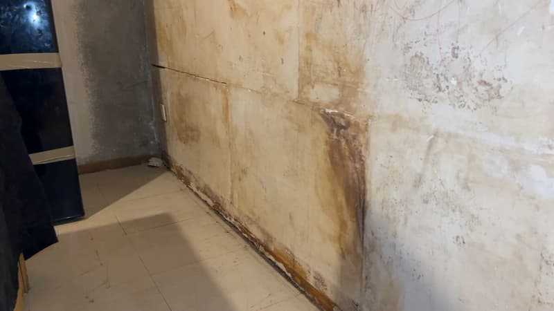 Moisissures, punaises de lit… à Vaulx-en-Velin, des locataires dénoncent leurs conditions de logement
