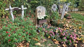 Des sépultures au cimetière écologique d'Ivry-sur-Seine, dans le Val-de-Marne, le 29 octobre 2025.