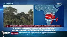 Les incendies en Afrique "sont dues à des techniques agricoles ancestrales" précise le chercheur Guillaume Lescuyer