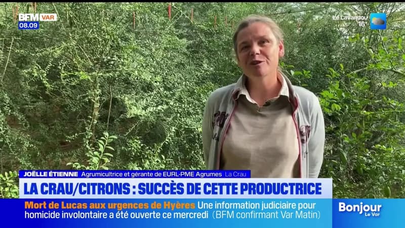 La Crau: les nombreuses variétés de citron n'ont plus de secrets pour cette agrumicultrice 