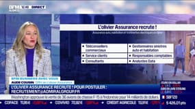 On recrute ! L'olivier Assurance : assurance auto, habitation et trottinettes électriques en ligne 