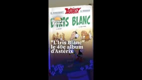 La bande dessinée "Astérix" fait son grand retour avec son 40e album "L'Iris Blanc"  