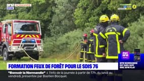 Seine-Maritime: les sapeurs-pompiers formés aux feux de forêt