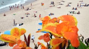 Des plages sont infectées par des excréments d'humains et d'animaux à Melbourne, en Australie.