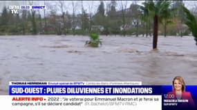 Crues dans le Sud-Ouest: la Nive proche de son plus haut niveau historique