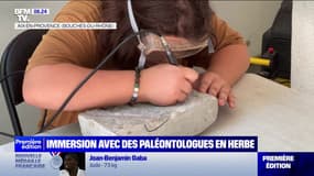 "J'aime bien les dinosaures": ces enfants découvrent le métier de paléontologue au Muséum d'histoire naturelle d'Aix-en-Provence 