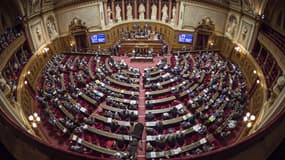 Un nouveau groupe de droite s'est créé au Sénat (Illustration).