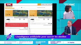 C’est quoi le progrès ? : L'intelligence artificielle pour sauver les abeilles - 23/02