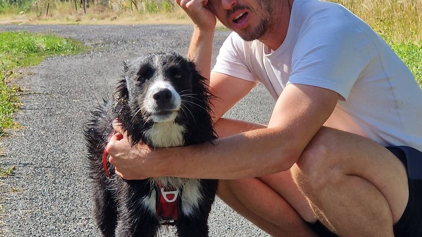 Rémi Le Calvez aux côtés de Spark, peu après son sauvetage dans le canal Rémi Le Calvez aux côtés de Spark, peu après son sauvetage dans le canal