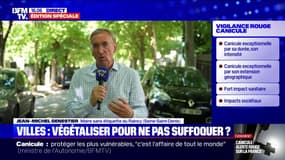 Canicule: "Nous pouvons gagner jusqu'à 10°C" grâce à la végétalisation, explique Jean-Michel Genestier, maire du Raincy