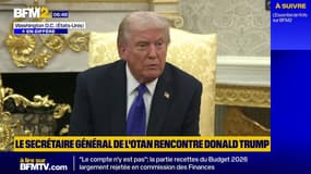 Donald Trump confirme qu'il n'enverra pas de missiles Tomahawk à l'Ukraine