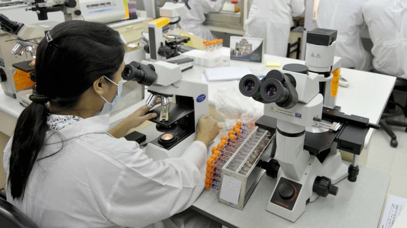 Laboratoire de recherche (illustration)