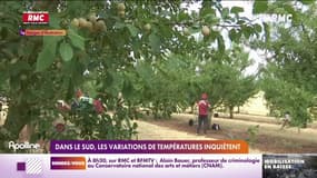 Dans le Sud, les variations de températures inquiètent 