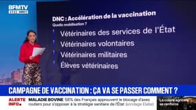 LES ÉCLAIREURS - Campagne de vaccination: ça va se passer comment?