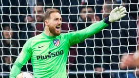 Jan Oblak
