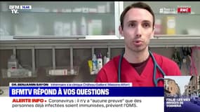 Les animaux peuvent-ils faire de la téléconsulation avec le vétérinaire ? 