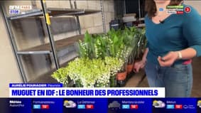 En Île-de-France, les producteurs de muguet sont dans les starting blocks 