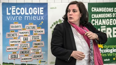 Emmanuelle Cosse, secrétaire nationale d'EELV.
