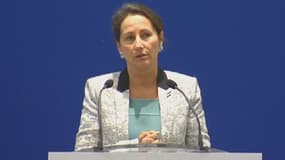 Ségolène Royal s'exprime, mardi, au sujet du barrage de Sivens.