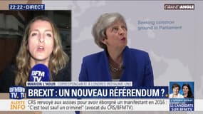Brexit: un nouveau référendum ?
