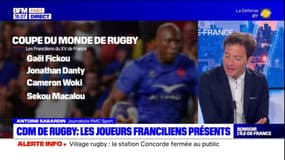 Coupe du monde de rugby: qui sont les joueurs du XV de France?