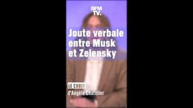 Angèle's choice - The verbal contest between Elon Musk and Volodymyr Zelensky on the Russian invasion