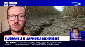 Pluie dans le 13: selon Paul Marquis, "il faudra d'autres épisodes pluvieux" pour résorber la sécheresse
