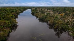 L'agence brésilienne évoque "la possibilité d'une fuite de pétrole qui pourrait affecter les récifs coraliens présents dans la région et par extension la biodiversité marine".
