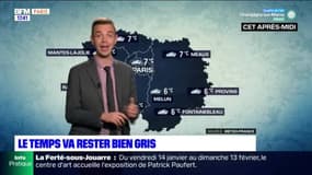 Météo Paris-Ile de France du 18 janvier : Un ciel nuageux et des températures assez fraîches