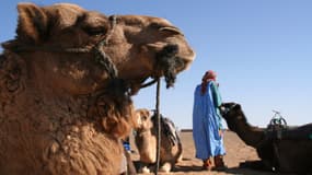 Photo d'illustration