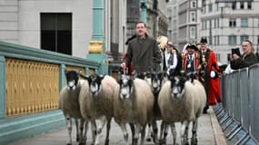 L'acteur Damian Lewis a traversé le pont Southward accompagné de moutons, selon une tradition médiévale britannique, le 29 septembre 2024.