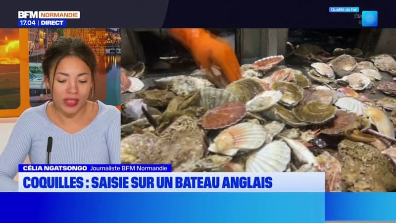 Ouistreham: un bateau de pêche anglais dérouté pour avoir pêché des coquilles trop petites