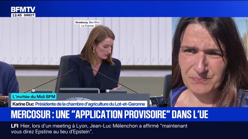 "On signe notre mort", déplore la présidente de la chambre d'agriculture du Lot-et-Garonne après l'annonce de l'application du Mercosur