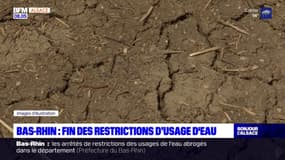 Bas-Rhin: les restrictions pour lutter contre la sécheresse levées