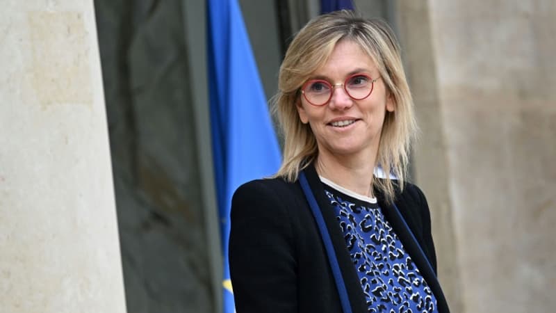 Electricité: Agnès Pannier-Runacher écarte une hausse des prix supérieure à 10% 