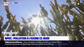 Pollution à l'ozone: le Nord-Pas-de-Calais en alerte jaune ce jeudi