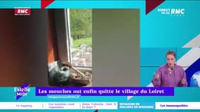 RMC s’engage pour vous : Les mouches ont enfin quitté le village du Loiret - 10/02