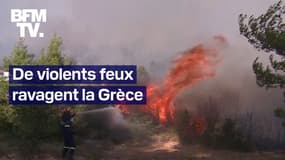 Les images des violents incendies qui frappent la Grèce 