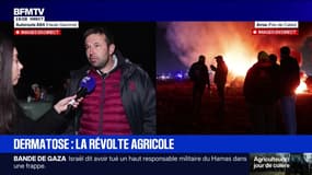 Dermatose bovine: "C'est dramatique, on est en train de tuer l'élevage et des familles", assure cet éleveur en Haute-Garonne
