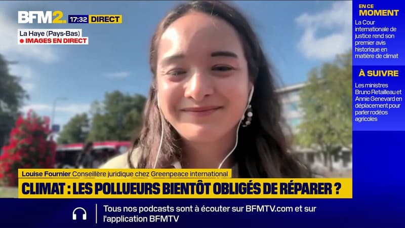 Avis de la CIJ : 