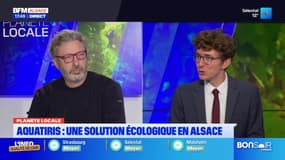 Planète locale du mercredi 2 octobre - Aquatiris : une solution écologique en Alsace