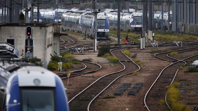 Le conducteur du TER a prévenu les secours. (Image d'illustration)