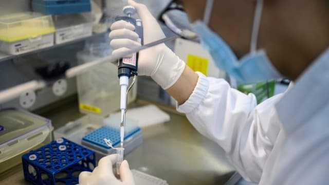 Un biologiste travaille sur un test du coronavirus dans un laboratoire de Hong Kong, le 5 juin 2020