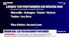 Provence-Alpes-Côte-d'Azur: les TER également perturbés par la grève à la SNCF