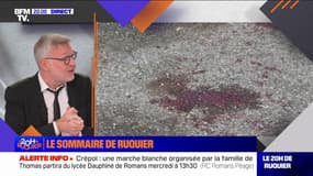 Rixe dans la Drôme et affaire Guerriau: le sommaire du 20H de Ruquier