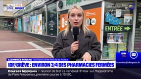 Île-de-France: les pharmaciens en grève