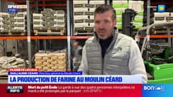 Planète Locale du mercredi 26 mars - La production de farine au Moulin Céard 