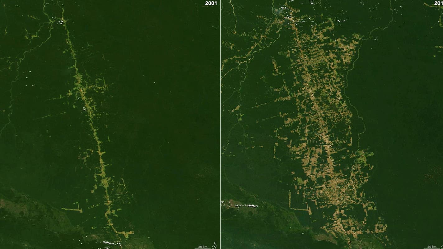 La forêt amazonienne, dans l'État de Rondônia, dans l'ouest du Brésil, en 2001 et en 2019, capturé par Landsat